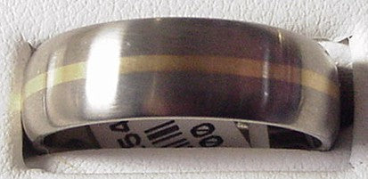 Satin Titanium and Yellow Gold Band